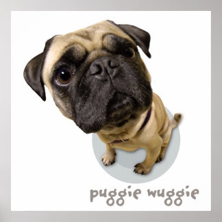 Poster Puggie Wuggie