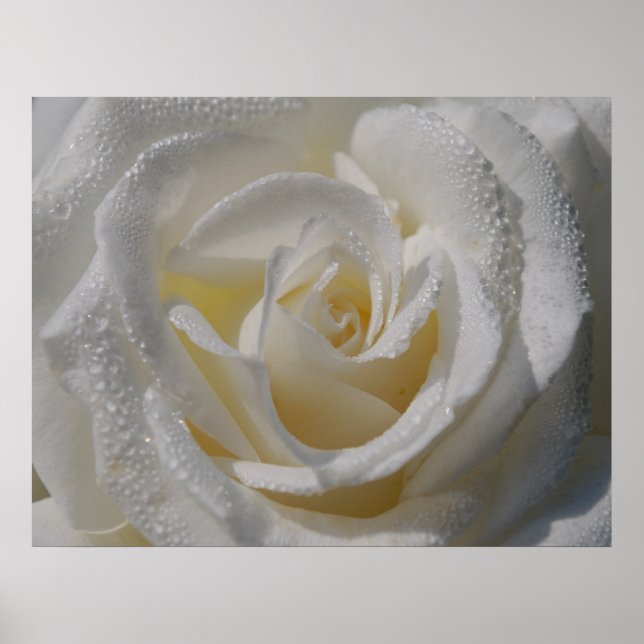 Poster "Pureté" (Devant)