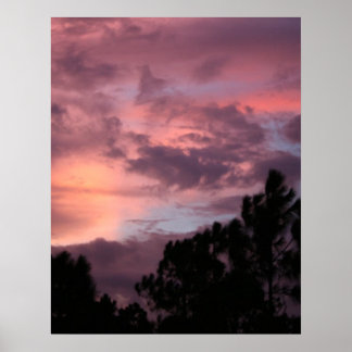 Poster Purple and Pink Florida Sunset over Pine Trees