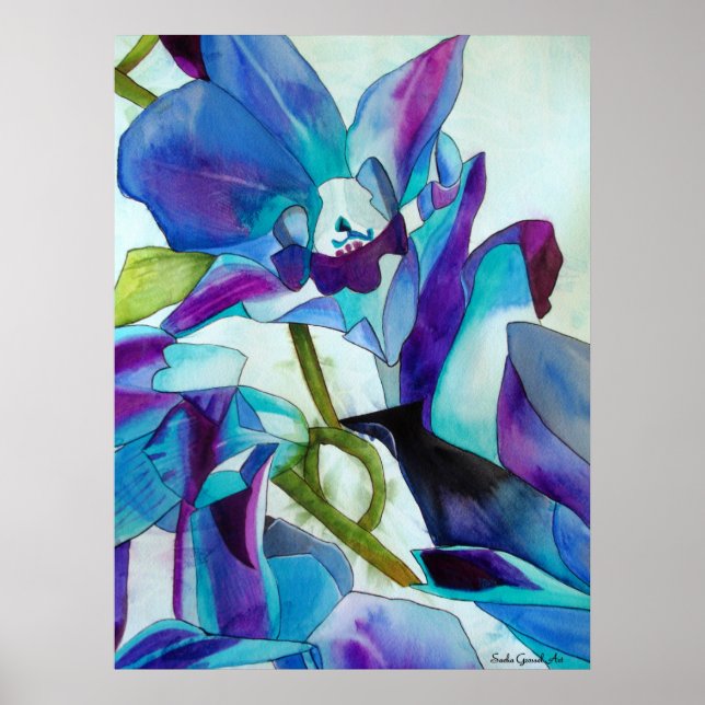 Poster Purple Singapour orchidée aquarelle (Devant)