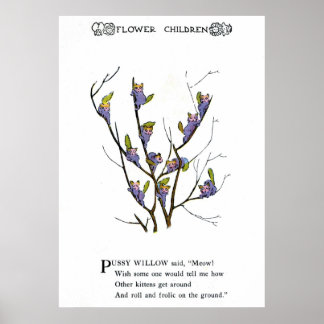 Poster Pussy Willow