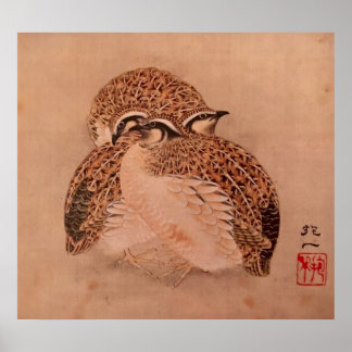 Poster Quail Trio