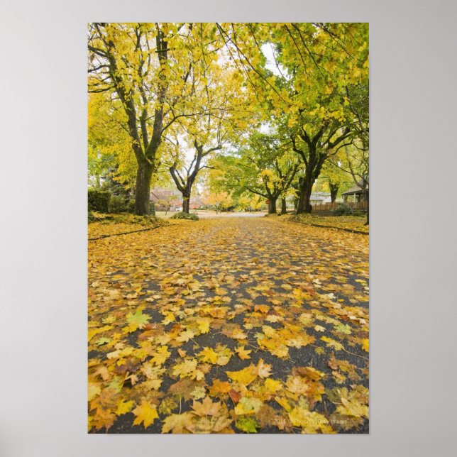 Poster Quartier Est En Automne (Devant)