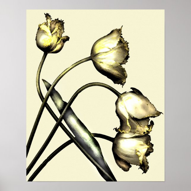 Poster Quatre tulipes no 2 (Devant)