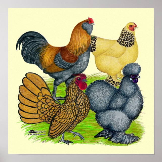 Poster Quatuor Bantam (Devant)