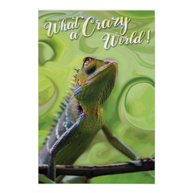 Poster Quel monde fou - Un Lizard spécial (Devant)