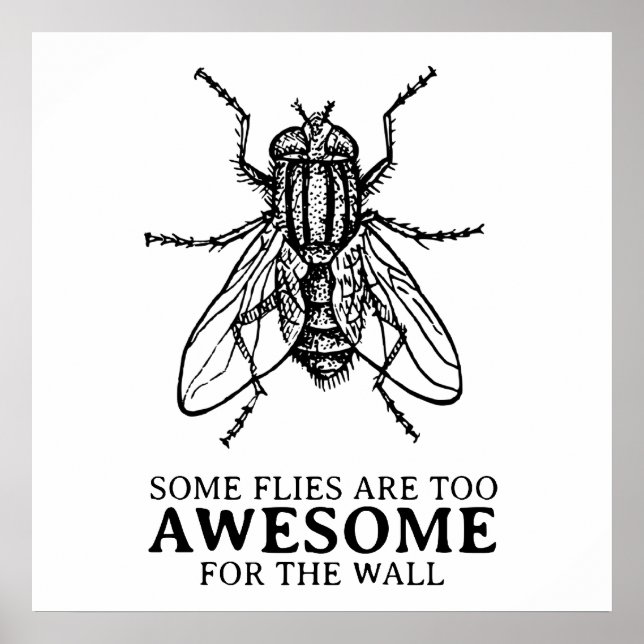 Poster Quelques mouches (Devant)