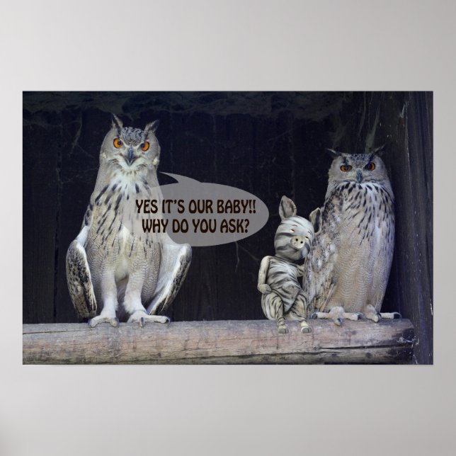 Poster Question stupide (Devant)