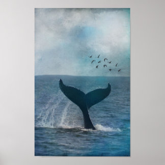 Poster Queue de baleine