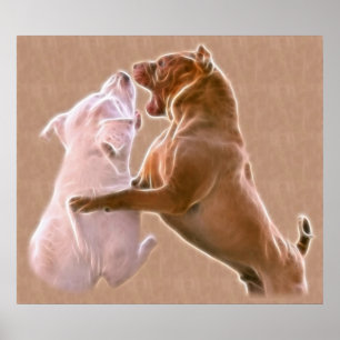 Poster Qui est le responsable du pack ?