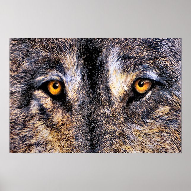 Poster Qui regarde (Devant)