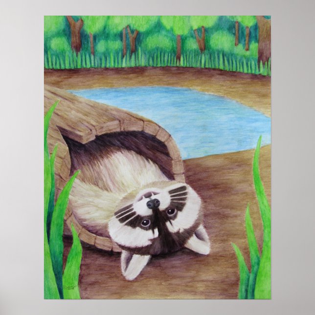 Poster Raccoon (Devant)