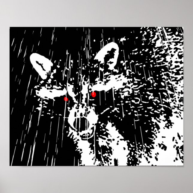 Poster Raccoon (Devant)