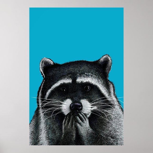 Poster Raccoon affamé en bleu (Devant)