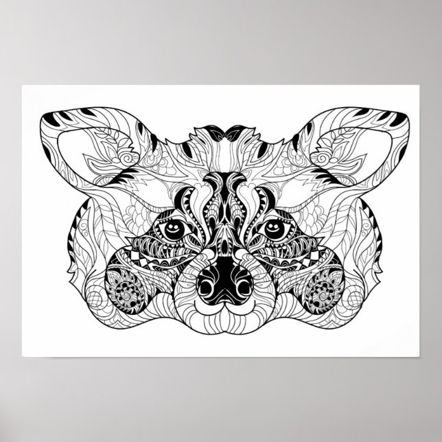 Poster Raccoon inspiré 2 (Devant)