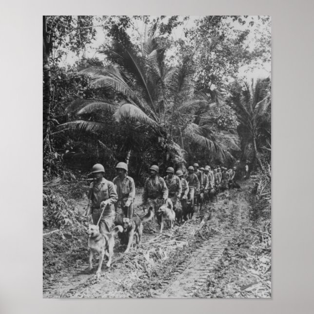 Poster Raiders (Devant)