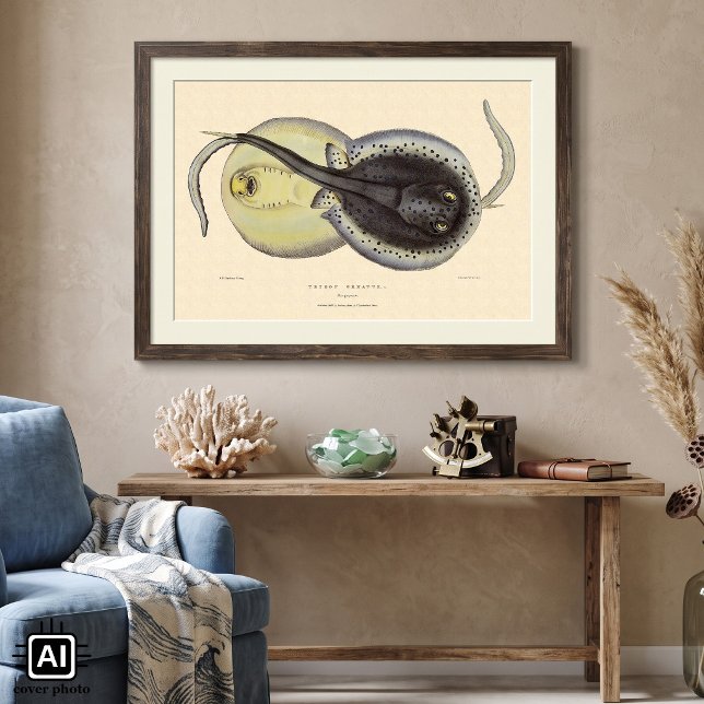 Poster Raies marmorées anciennes, Animaux marins de l'Océ (Vintage illustration marine life textbook science design featuring blue-spotted ribbontail stingrays)