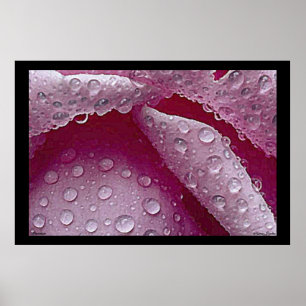 Poster Raindrops