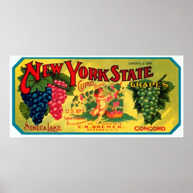 Poster Raisins de l'État de New York (Devant)