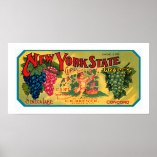 Poster Raisins de l'État de New York