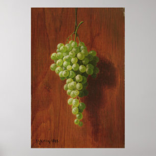 Poster Raisins verts