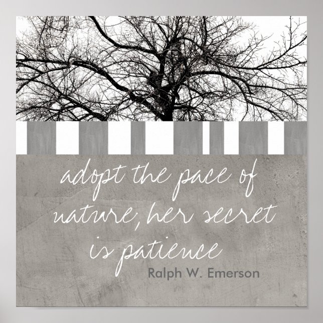 poster Ralph W Emerson quote nature photo art (Devant)