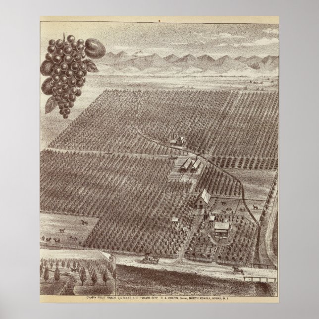 Poster Ranch de fruits de Chapin (Devant)