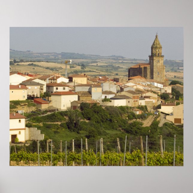 Poster Rangées de vignes au premier plan cadre le (Devant)
