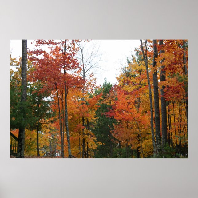 Poster Rassemblement des membres permanents (Devant)