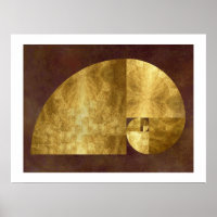 Ratio d'or, spirale de Fibonacci