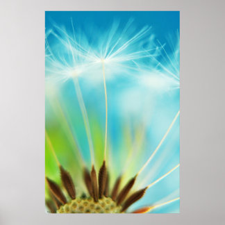 Poster Rayons de lait