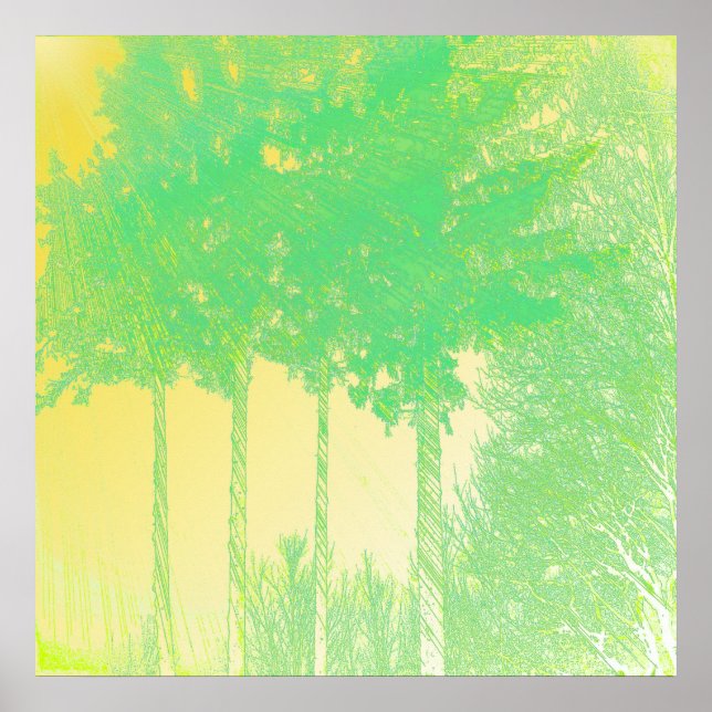 Poster Rayons d'espoir 3 arbres Imprimer (Devant)