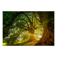 rayons solaires