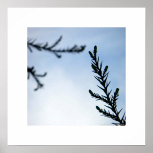 Poster Reaching Out To You/Inspirational Nature Print