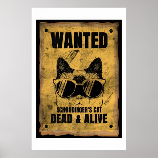 Poster Recherché de chat mort ou vivant