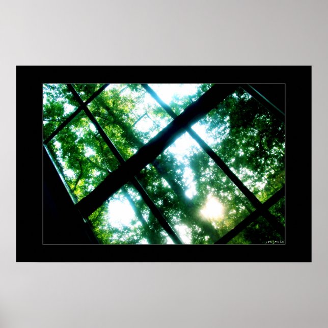 Poster recherche de liberté (Devant)