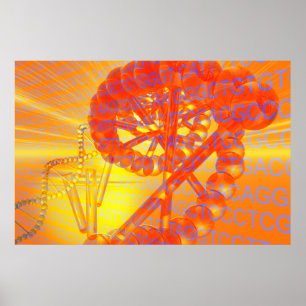 Poster Recherche génétique