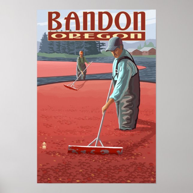Poster Récolte de canneberges - Bandon, Oregon (Devant)