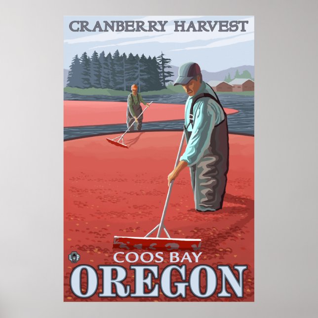 Poster Récolte de canneberges - Coos Bay, Oregon (Devant)