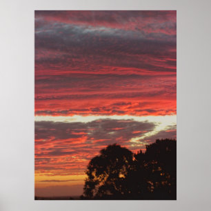 Poster Red Gully Skies