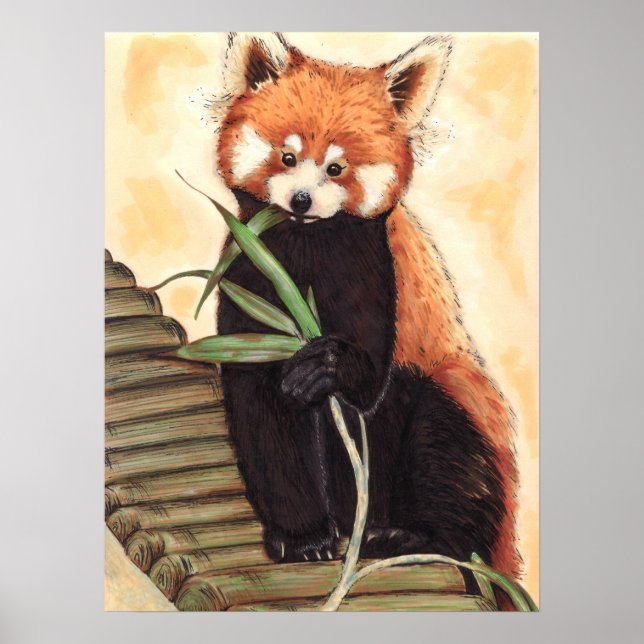 Poster Red Panda Nom (Devant)