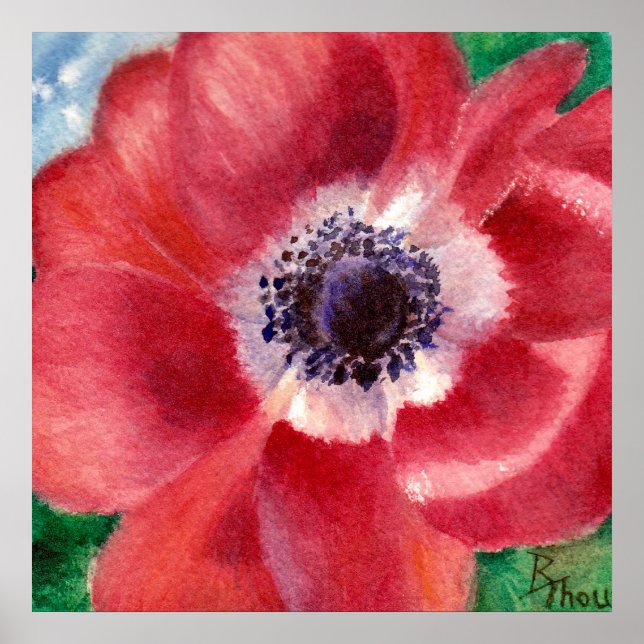 Poster Red Poppy (Devant)