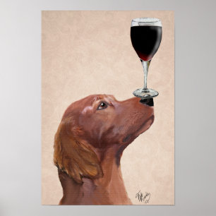 Poster Red Setter Chien Au Vin