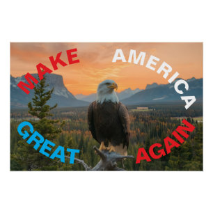 POSTER REFAIRE GRAND AMÉRICAIN EAGLE SCELEN