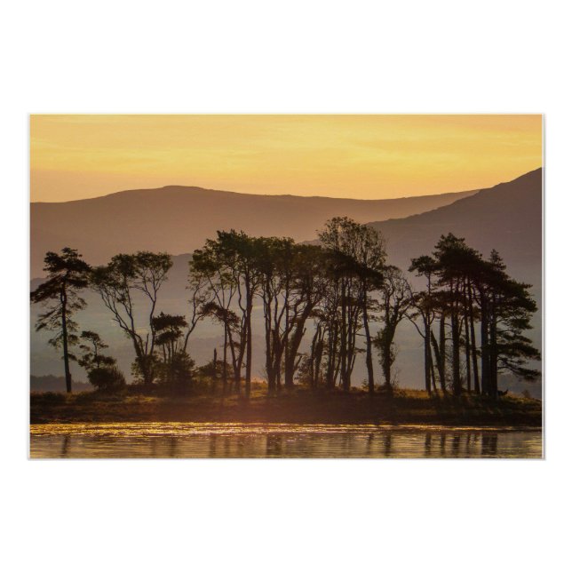 Poster Reflets de l'heure dorée Kenmare Bay Irlande Impre (Devant)