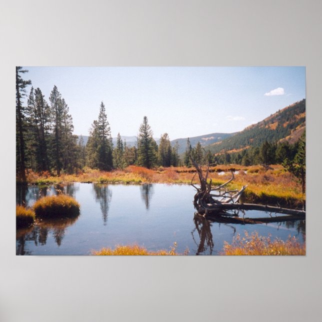 Poster Réflexions (Devant)