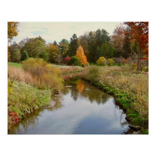 POSTER RÉFLEXIONS DE L'AUTOMNE À TOLEDO (OHIO) BOTANICAL  (Devant)