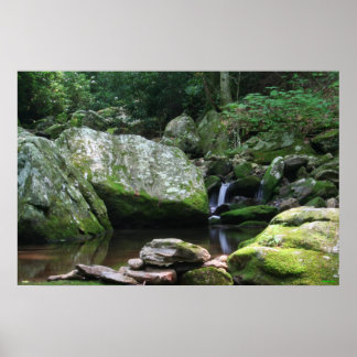 Poster Réflexions de Mineral Creek