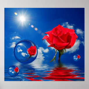 Poster Réflexions flottantes de l'amour