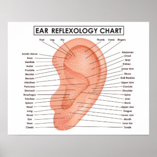 Poster Réflexologie de l'oreille 20" x 16", (Matte